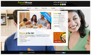Our Website