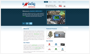 Our Website