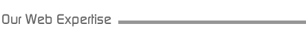 Our web expertise
