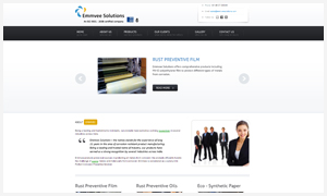 Our Website